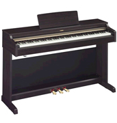 YDP-162